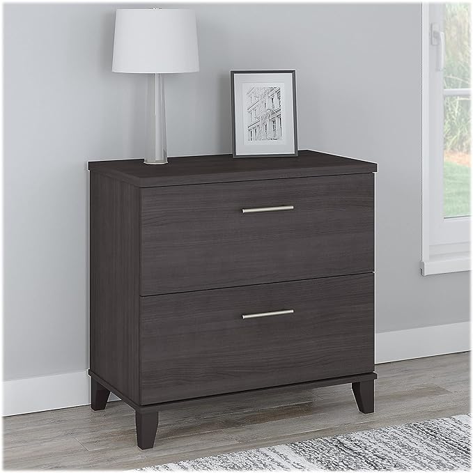 Bush Furniture Somerset 2 Drawer Lateral File Cabinet in Storm Gray - LeafyLoom