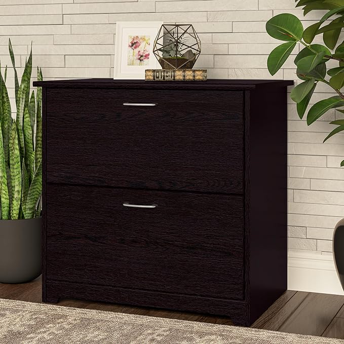 Bush Business Furniture Cabot 2 Drawer Lateral File Cabinet | Letter, Legal, and A4-size Document Storage for Home Office, 32W, Espresso Oak - LeafyLoom