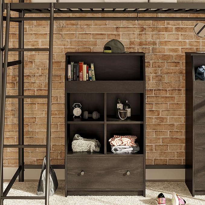 Ameriwood Home The Loft 2 Door Storage Tower, Large, Black Oak - LeafyLoom