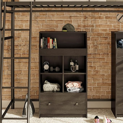 Ameriwood Home The Loft 2 Door Storage Tower, Large, Black Oak - LeafyLoom