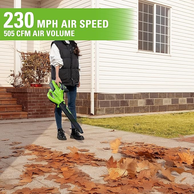 Greenworks 40V (230 MPH / 505 CFM / 75+ Compatible Tools) Cordless Brushless Leaf Blower / Vacuum, 5.0Ah Battery and Charger Included - LeafyLoom