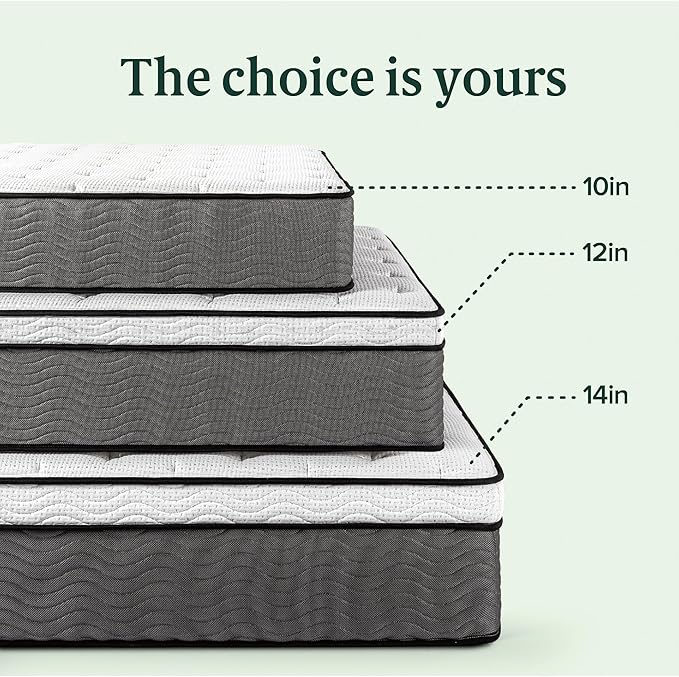 ZINUS 10 Inch True Support Hybrid Mattress [New Version], Full, Fiberglass free, Medium Feel, Motion Isolation, Certified Safe Foams & Fabric, Mattress in A Box - LeafyLoom