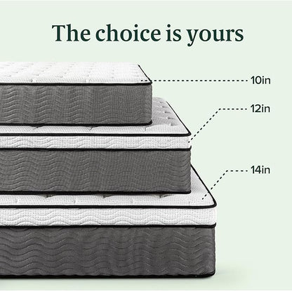 ZINUS 10 Inch True Support Hybrid Mattress [New Version], Twin, Fiberglass free, Medium Feel, Motion Isolation, Certified Safe Foams & Fabric, Mattress in A Box - LeafyLoom