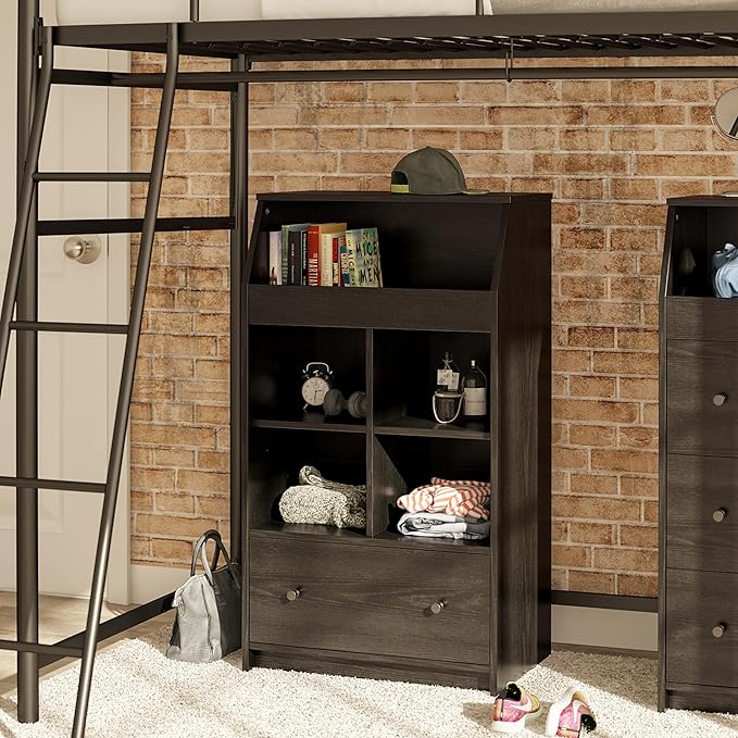 Ameriwood Home The Loft 2 Door Storage Tower, Large, Black Oak - LeafyLoom